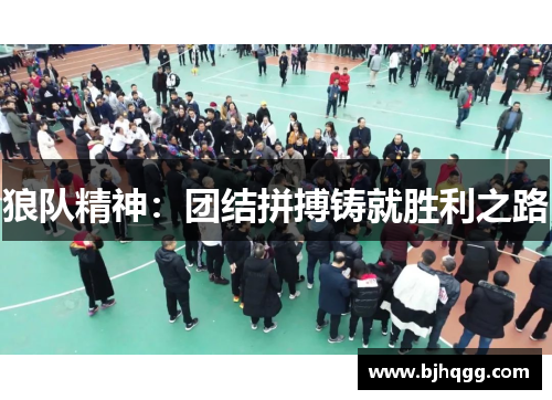 狼队精神:团结拼搏铸就胜利之路